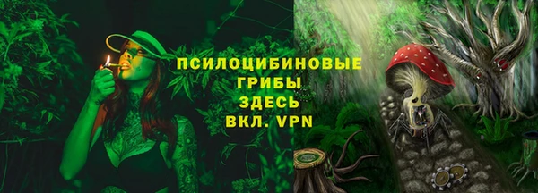 ешки Абаза