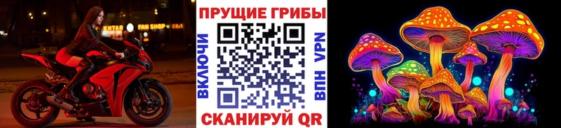 гидра вход  Нефтеюганск  Псилоцибиновые грибы Cubensis  закладки 